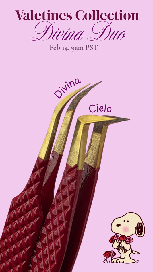 Divina Duo Valentines Collection