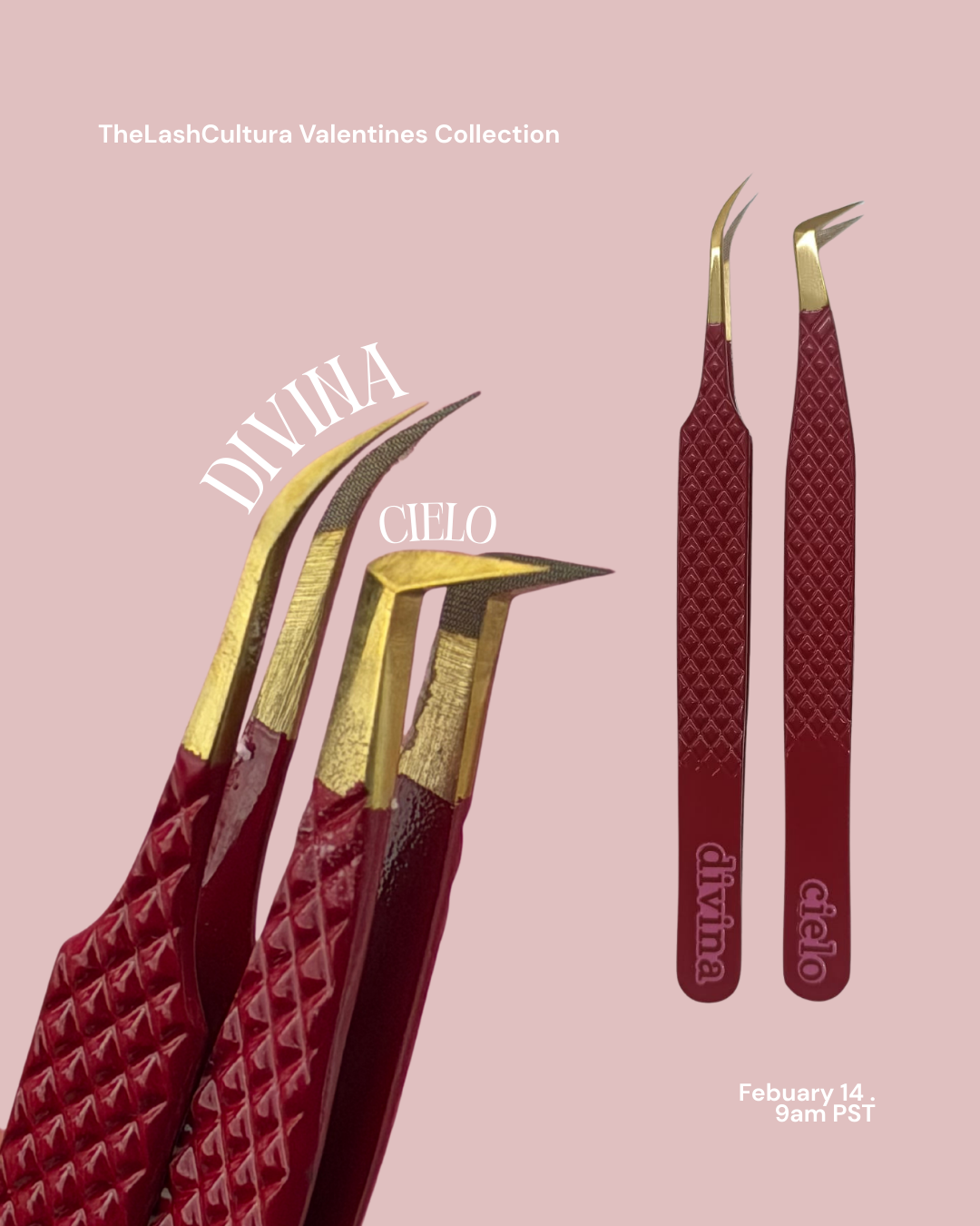 Divina Duo Valentines Collection